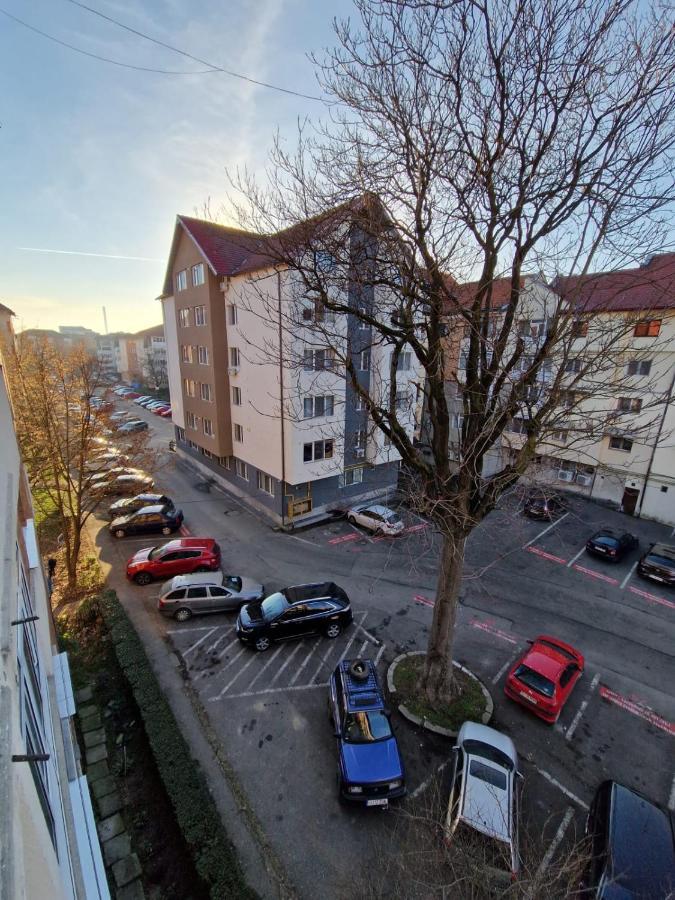 Апартаменты Apartament Victoria Тыргу-Жиу Экстерьер фото